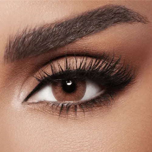 Diva Colored Lenses - Toffee